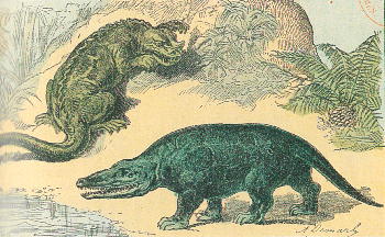 イグアナドンとメガロサウルス